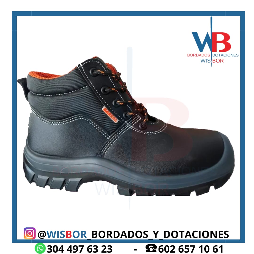 Imagen 10