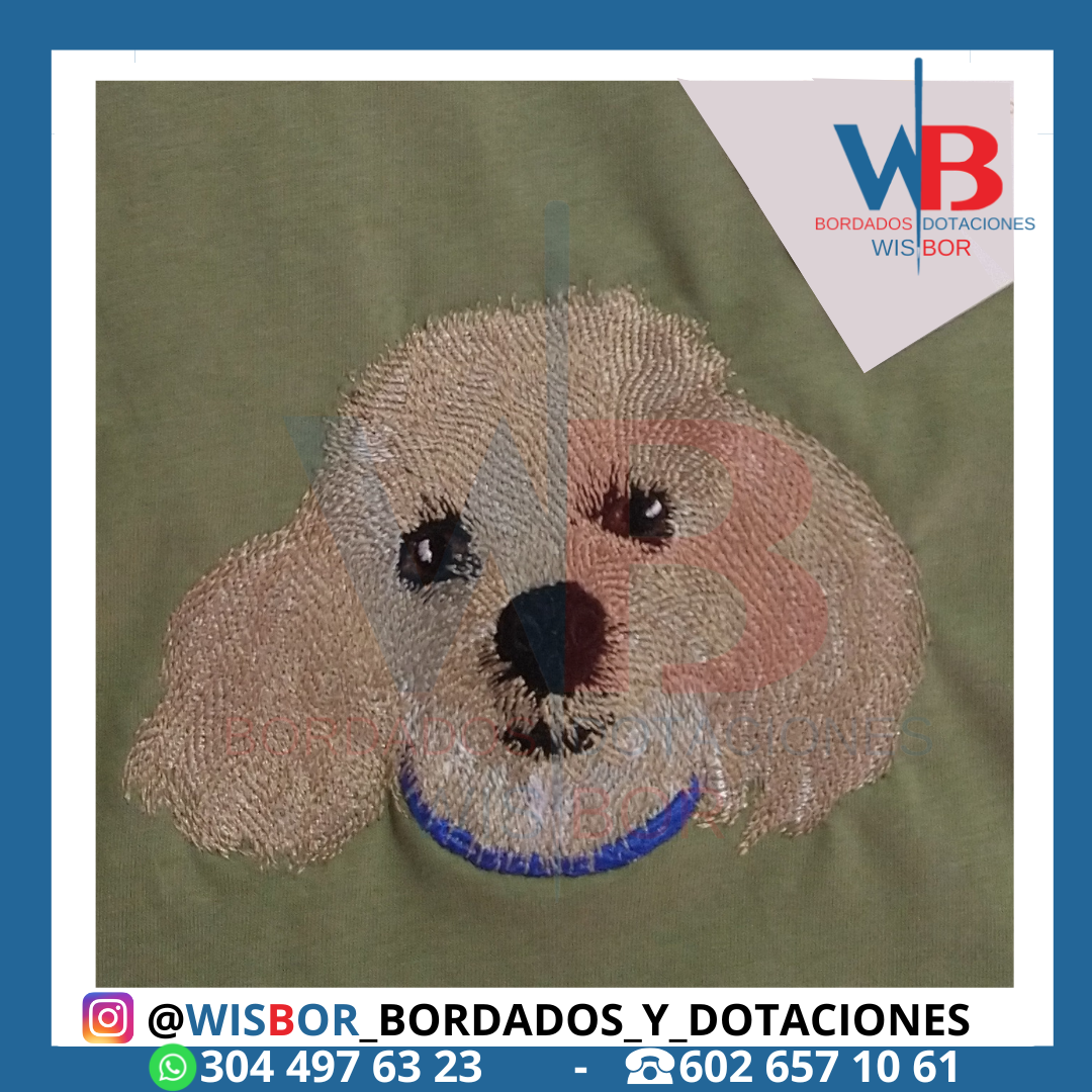 Imagen 11